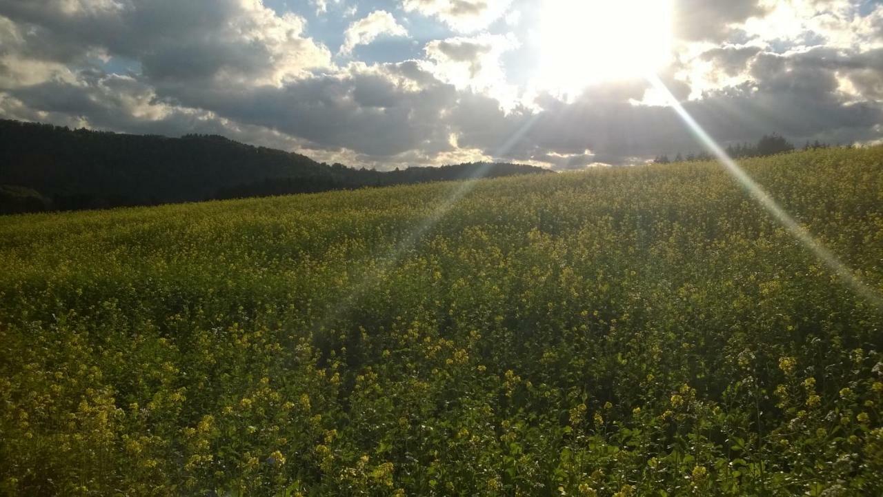 Biersdorf Blick In Die Suedeifel מראה חיצוני תמונה